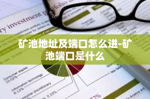 矿池地址及端口怎么进-矿池端口是什么