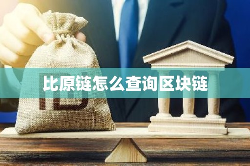 比原链怎么查询区块链