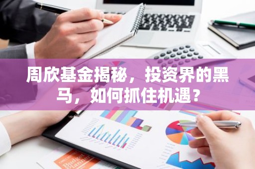 周欣基金揭秘，投资界的黑马，如何抓住机遇？