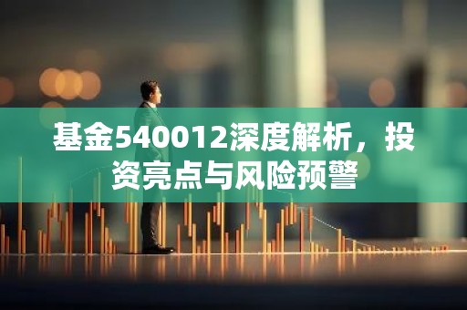 基金540012深度解析，投资亮点与风险预警