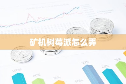 矿机树莓派怎么弄