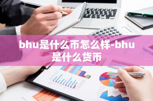 bhu是什么币怎么样-bhu是什么货币