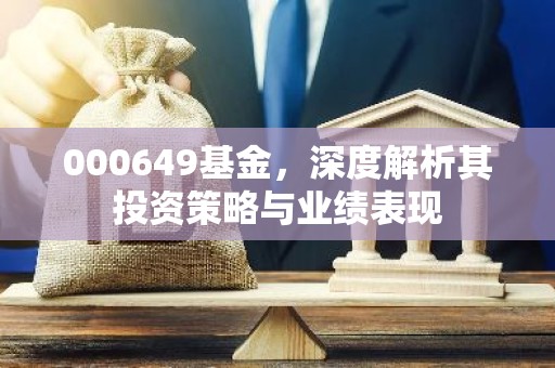 000649基金，深度解析其投资策略与业绩表现