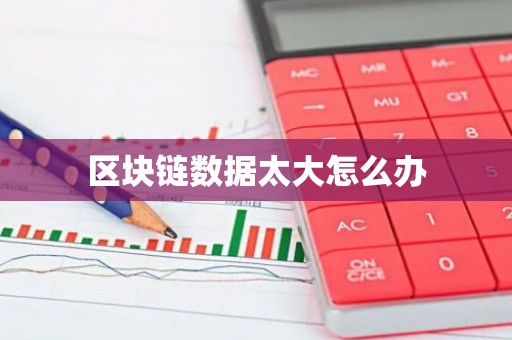区块链数据太大怎么办