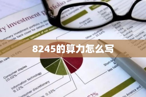 8245的算力怎么写