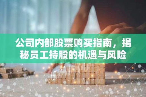 公司内部股票购买指南，揭秘员工持股的机遇与风险