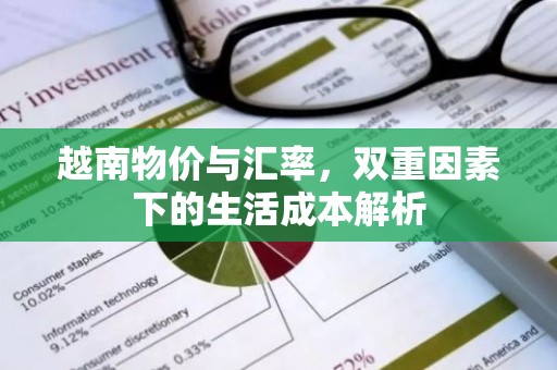 越南物价与汇率，双重因素下的生活成本解析
