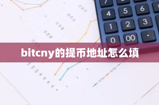 bitcny的提币地址怎么填