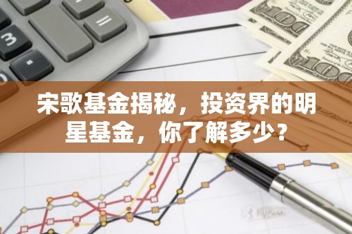 宋歌基金揭秘，投资界的明星基金，你了解多少？