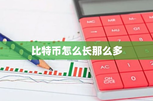 比特币怎么长那么多