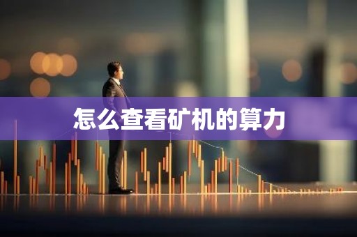 怎么查看矿机的算力