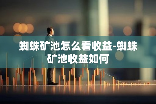 蜘蛛矿池怎么看收益-蜘蛛矿池收益如何