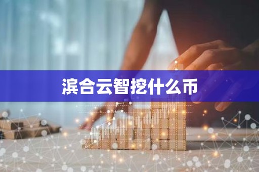 滨合云智挖什么币