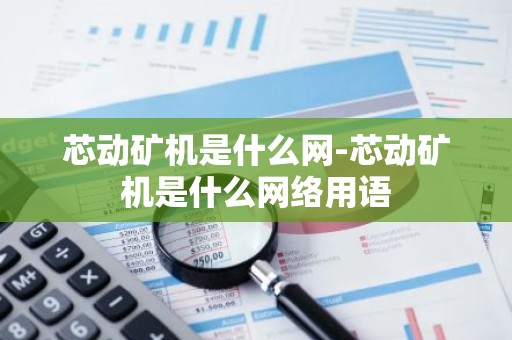 芯动矿机是什么网-芯动矿机是什么网络用语