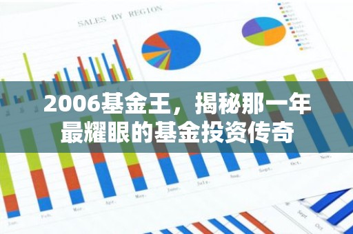 2006基金王，揭秘那一年最耀眼的基金投资传奇