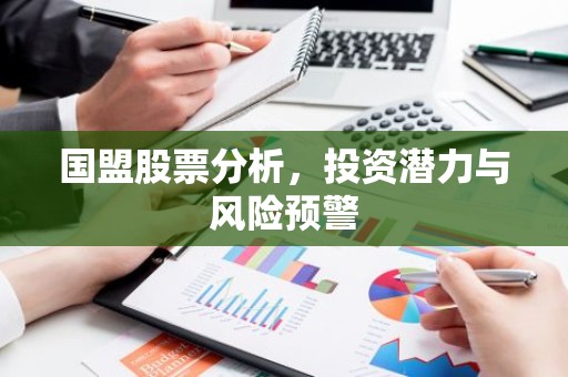 国盟股票分析，投资潜力与风险预警