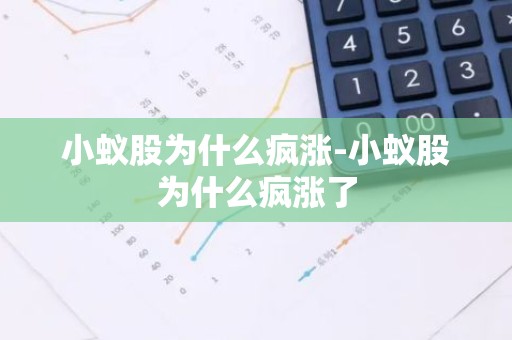 小蚁股为什么疯涨-小蚁股为什么疯涨了