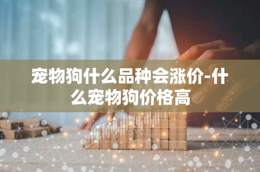 宠物狗什么品种会涨价-什么宠物狗价格高