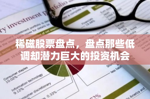 稀磁股票盘点，盘点那些低调却潜力巨大的投资机会