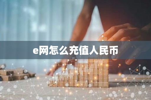 e网怎么充值人民币