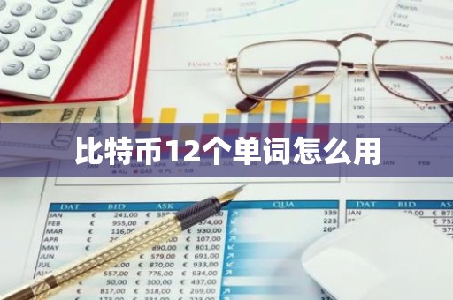比特币12个单词怎么用