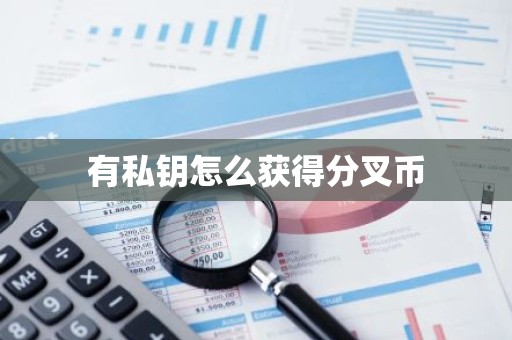 有私钥怎么获得分叉币