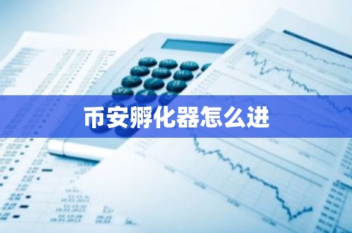 币安孵化器怎么进