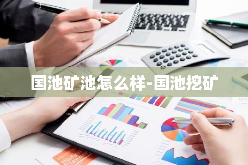国池矿池怎么样-国池挖矿