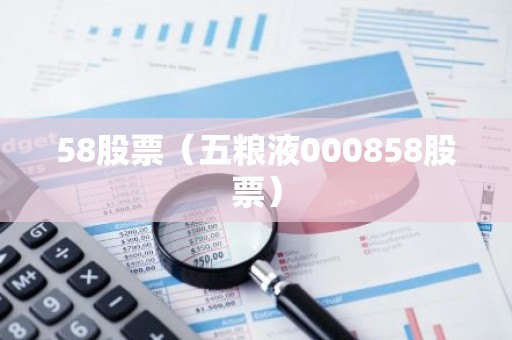 58股票（五粮液000858股票）