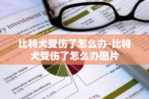 比特犬受伤了怎么办-比特犬受伤了怎么办图片