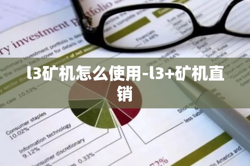 l3矿机怎么使用-l3+矿机直销