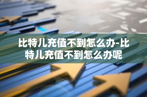 比特儿充值不到怎么办-比特儿充值不到怎么办呢