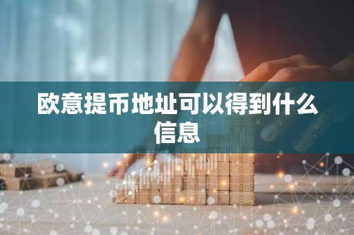 欧意提币地址可以得到什么信息