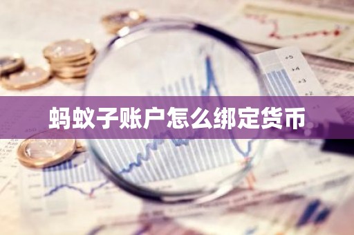蚂蚁子账户怎么绑定货币