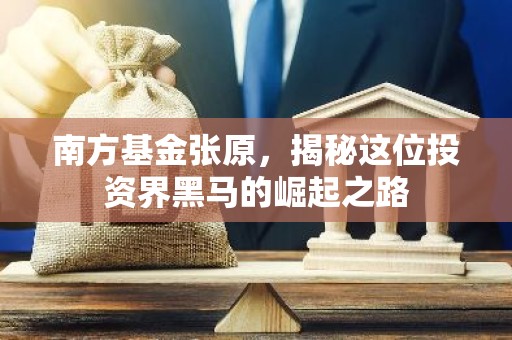 南方基金张原，揭秘这位投资界黑马的崛起之路