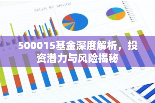 500015基金深度解析，投资潜力与风险揭秘