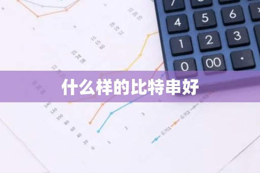 什么样的比特串好