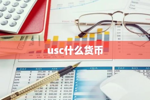 usc什么货币