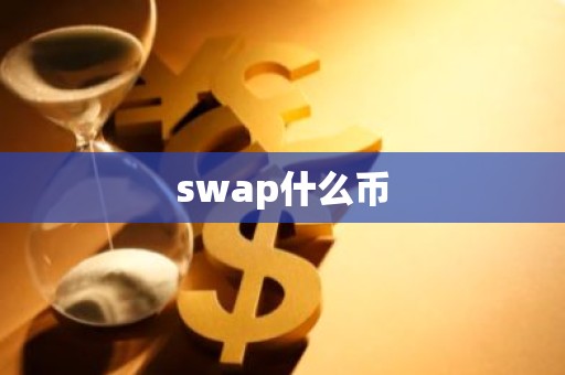 swap什么币