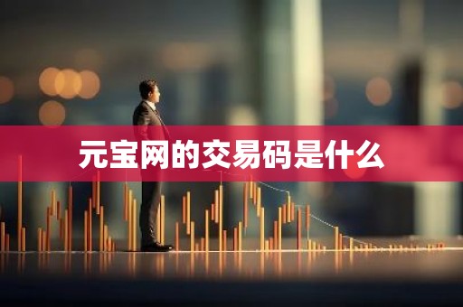 元宝网的交易码是什么