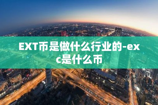 EXT币是做什么行业的-exc是什么币