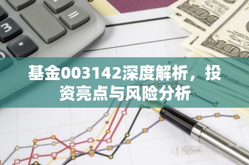基金003142深度解析，投资亮点与风险分析