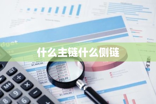 什么主链什么侧链