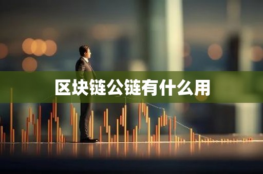 区块链公链有什么用