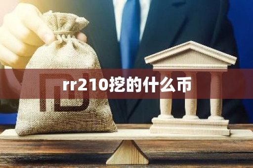 rr210挖的什么币