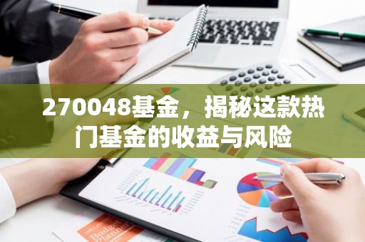 270048基金，揭秘这款热门基金的收益与风险