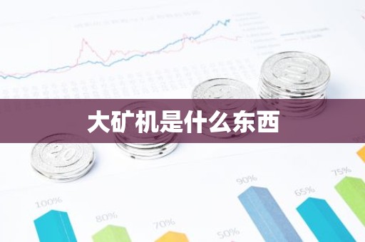 大矿机是什么东西