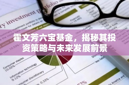 霍文芳六宝基金，揭秘其投资策略与未来发展前景