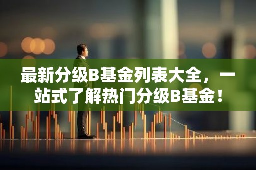 最新分级B基金列表大全，一站式了解热门分级B基金！