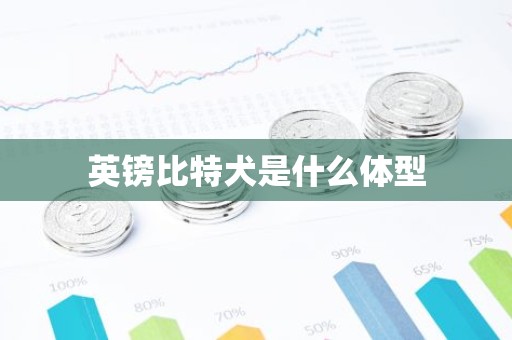 英镑比特犬是什么体型